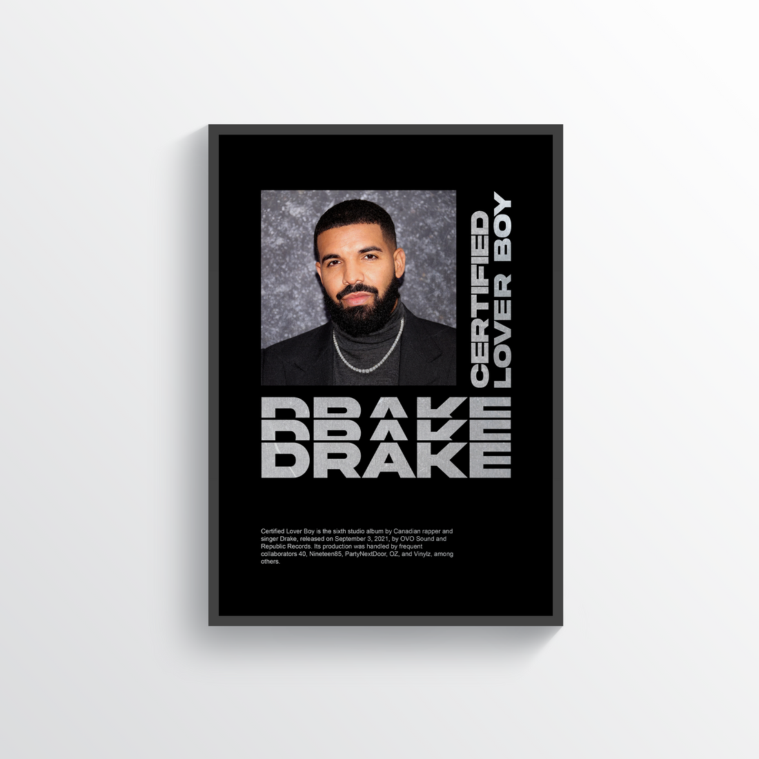 Drake Poster Print