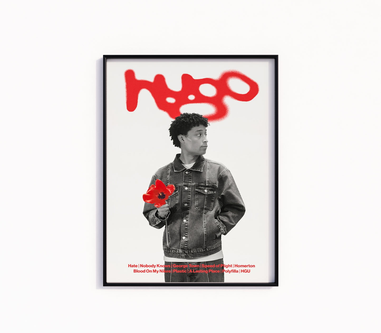 Loyle Carner Poster