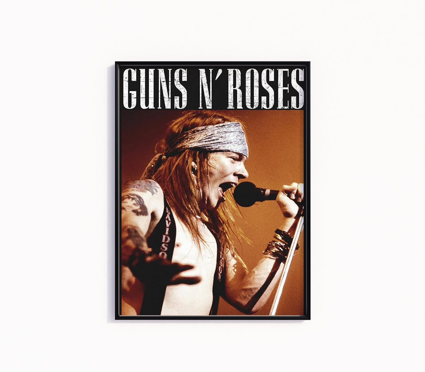 Guns N' Roses Poster