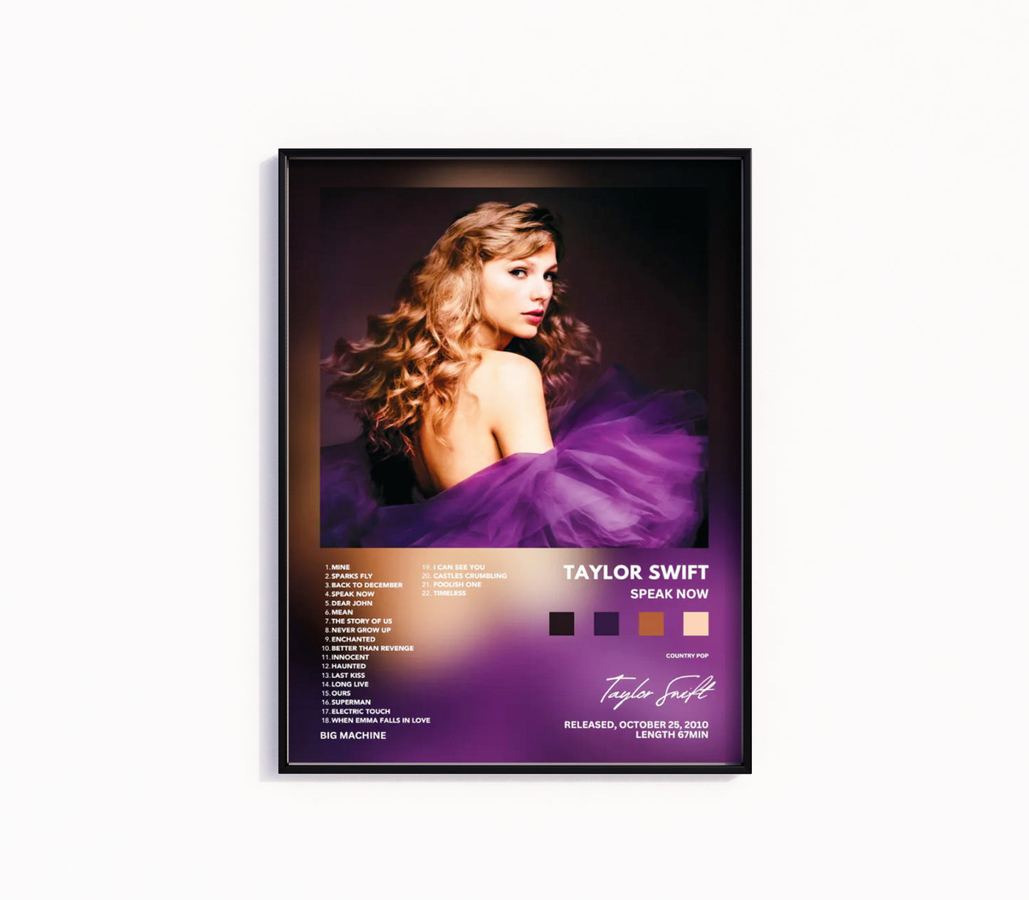 Taylor Swift "Speak Now" Album Poster